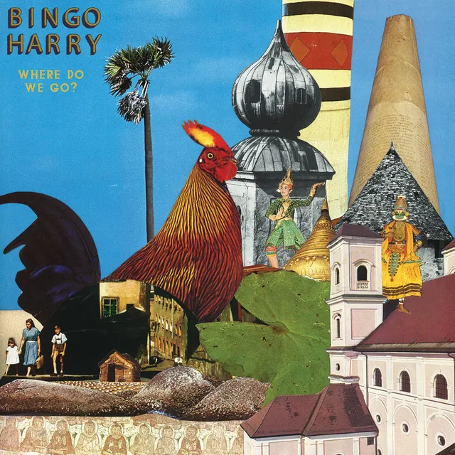 Bingo Harry Where Do We Go? (LP) 