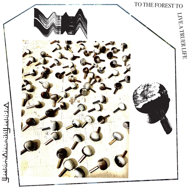 YoshimiOizumikiYoshiduO To The Forest To Live A Truer Life (LP) 