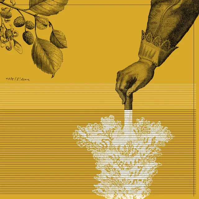 Tape Rideau (Remastered) (LP) 