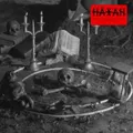 Dagerlöff &amp; Galner Häxan (LP)