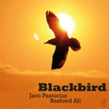 Jaco Pastorius &amp; Rashied Ali Blackbird - LTD (LP)