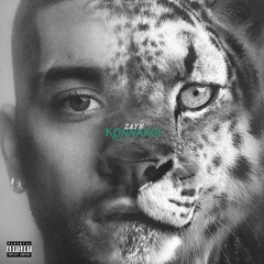 Zayn Konnakol - LTD (LP)