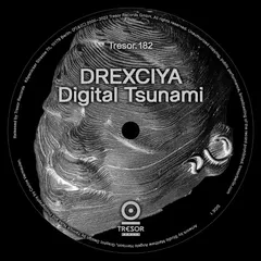 Drexciya Digital Tsunami (12")