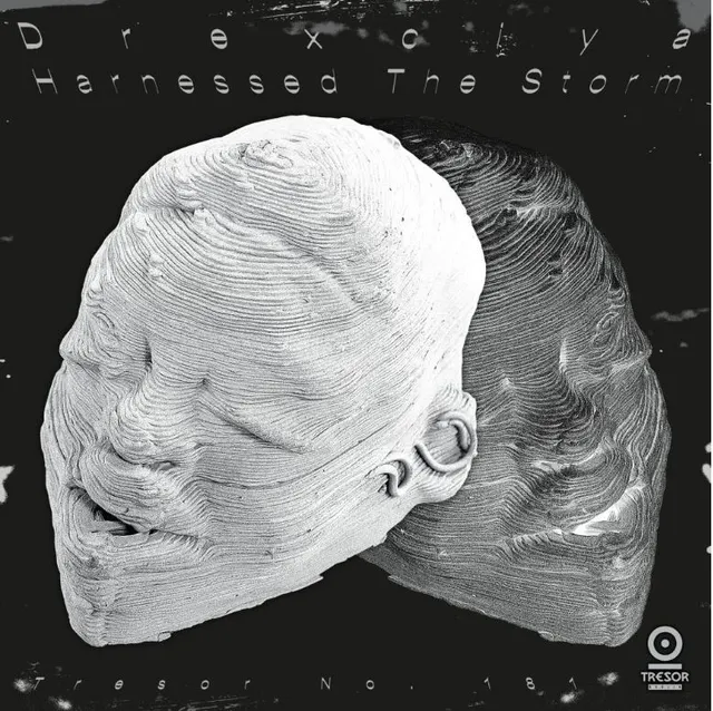 Drexciya Harnessed The Storm (2LP) 