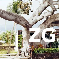 ZG ZG (LP)