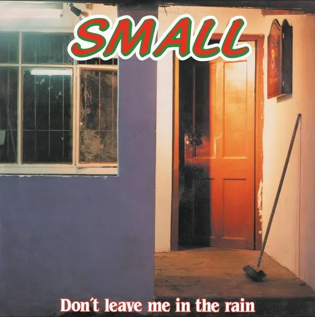 Small Don't Leave Me In The Rain (LP) 