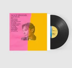 David Brewis The Soft Struggles (LP)
