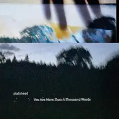plainhead You Are More Than A Thousand Words (LP)