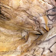 Demetrio Castellucci &amp; Massimo Pupillo Sleep Technique (LP)