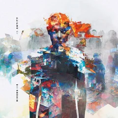 Riverside ID.Entity - LTD (2LP)