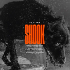 Algiers Shook - LTD (2LP)