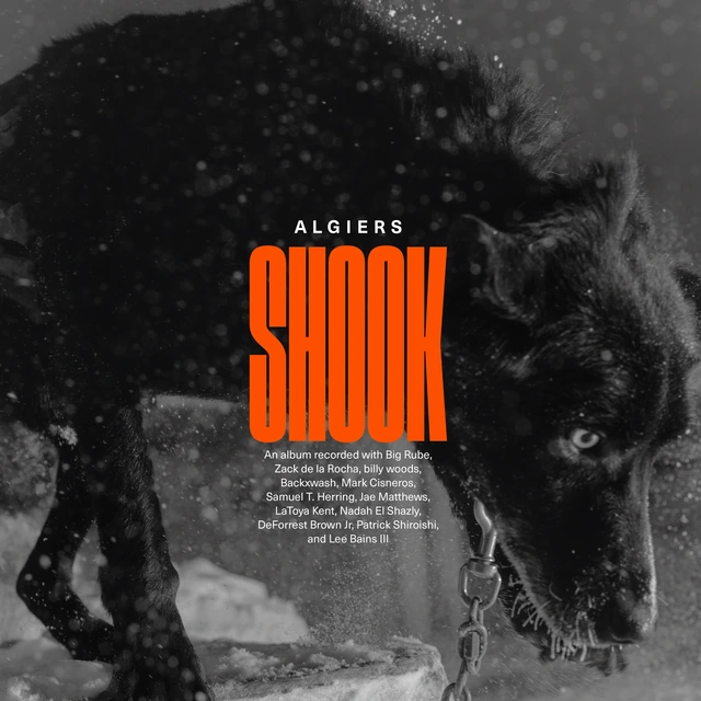 Algiers Shook - LTD (2LP) 