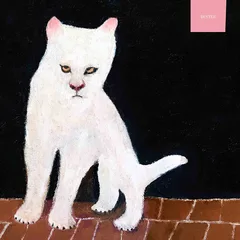 Duster Duster - LTD (LP)