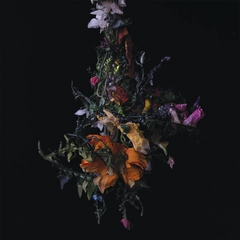 Big|Brave Nature Morte - LTD (LP)