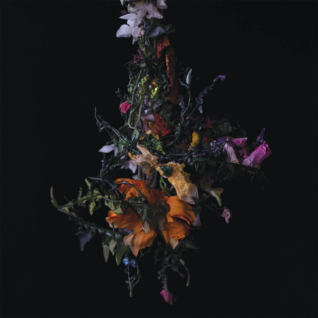 Big|Brave Nature Morte - LTD (LP) 