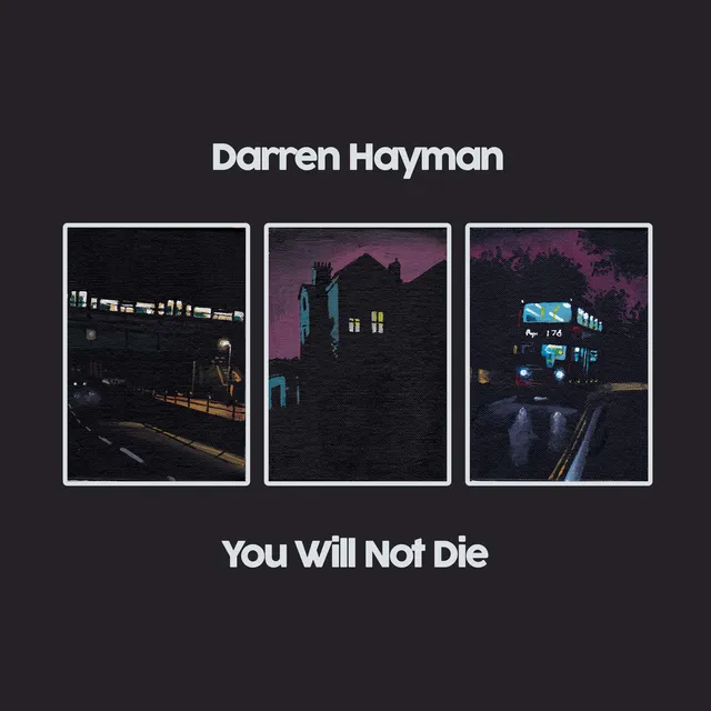 Darren Hayman You Will Not Die (2LP) 