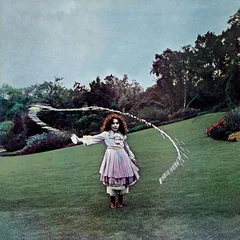 Trees On The Shore (LP)