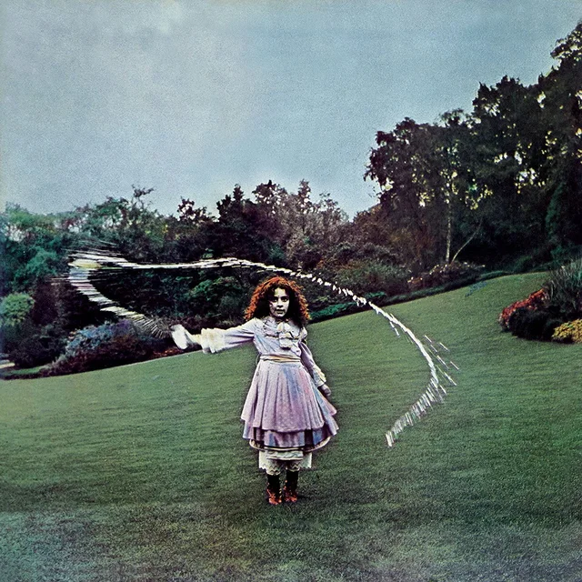 Trees On The Shore (LP) 