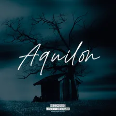 Degiheugi Aquilon (2LP)