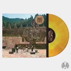 Mint Field Levitation Sessions (LP)