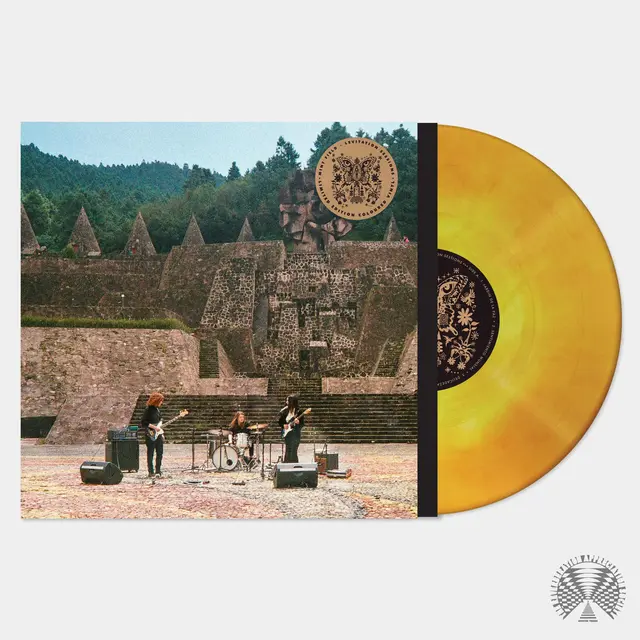 Mint Field Levitation Sessions (LP) 