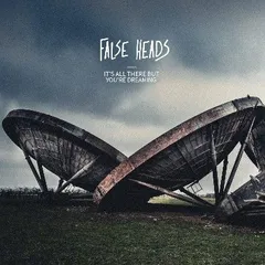 False Heads Sick Moon (LP)
