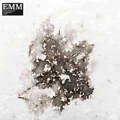 Sam McLoughlin &amp; David Chatton Barker Environmental Meditation Music (LP)