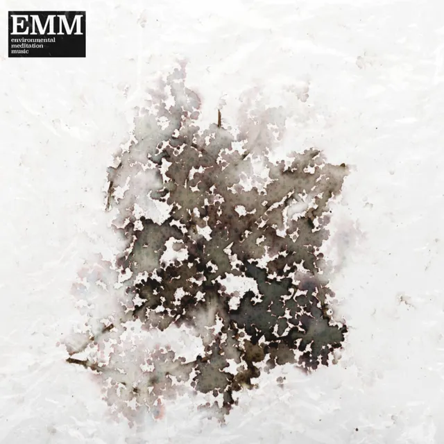 Sam McLoughlin & David Chatton Barker Environmental Meditation Music (LP) 