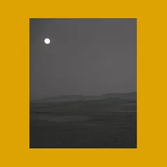 Siavash Amini &amp; Eugene Thacker Songs For Sad Poets (2LP)