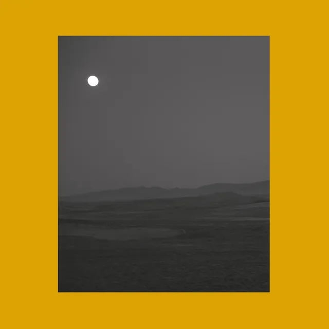 Siavash Amini & Eugene Thacker Songs For Sad Poets (2LP) 