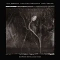 Ketil Bjørnstad/Lars Saabye Christensen Between Hotels And Time (CD)