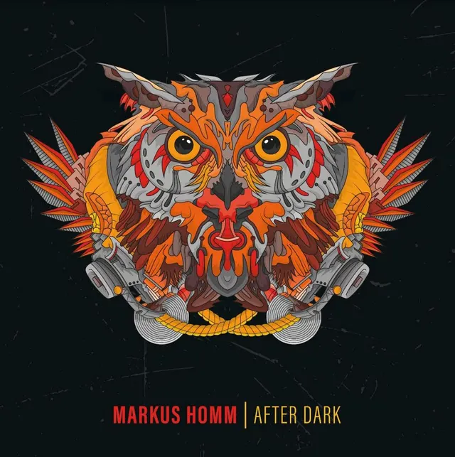 Markus Homm After Dark (2LP) 