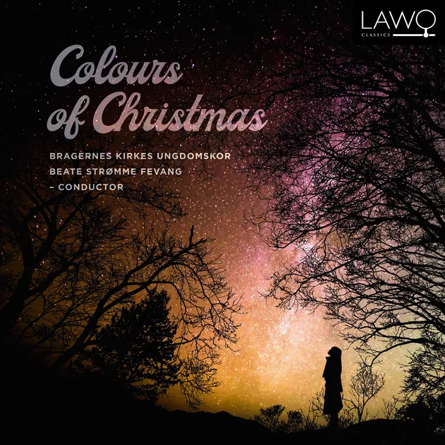 Bragernes Kirkes Ungdomskor Colours Of Christmas (CD) 