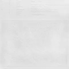 Popp Blizz (LP)