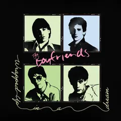 The Boyfriends Wrapped Up In A Dream (LP)