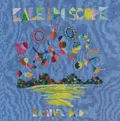 Rachael Dadd Kaleidoscope - LTD (LP)