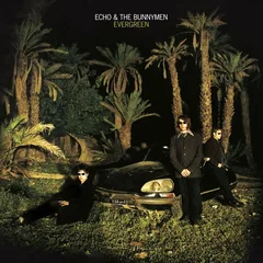 Echo &amp; The Bunnymen Evergreen - LTD (LP)