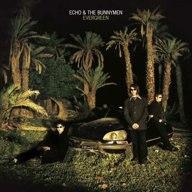 Echo & The Bunnymen Evergreen - LTD (LP) 