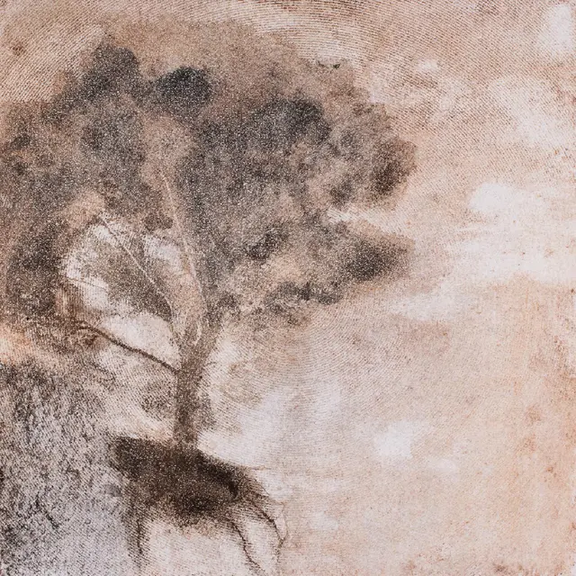 Drop The Spoon Psst… It's Raining (LP) 