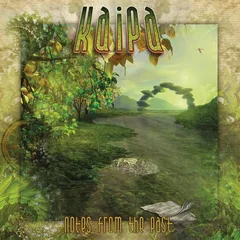 Kaipa Notes From The Past (2LP+CD)