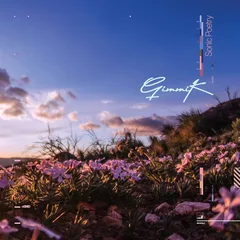 Gimmik Sonic Poetry (2LP)