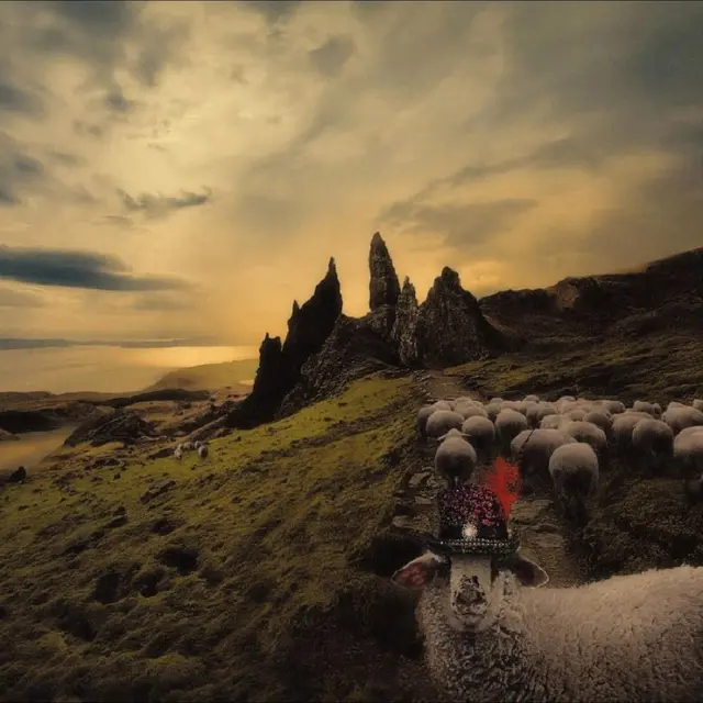 Franck Carducci Sheeple (LP) 