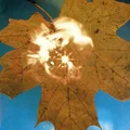 Soyuz Force Of The Wind (LP)
