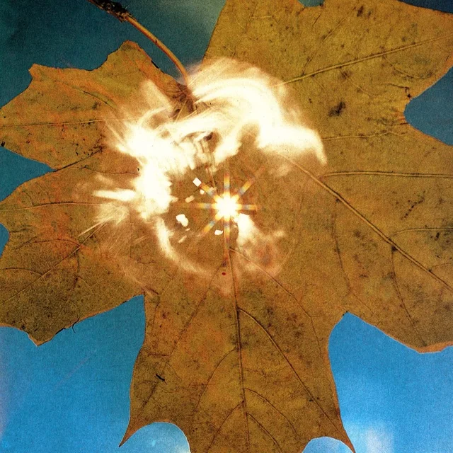Soyuz Force Of The Wind (LP) 