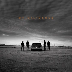 My Diligence My Diligence (LP)