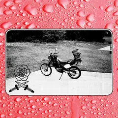 Bass Drum Of Death Say I Won't (LP)