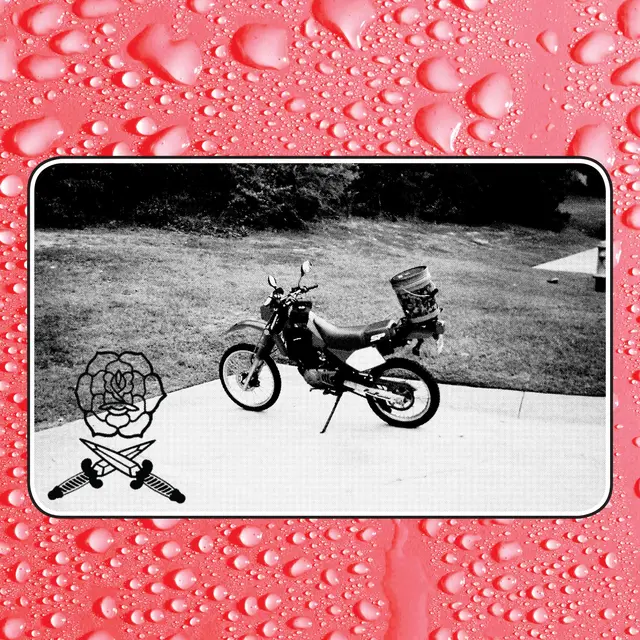Bass Drum Of Death Say I Won't (LP) 