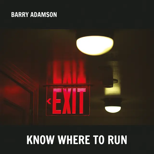 Barry Adamson Know Where To Run (LP) 