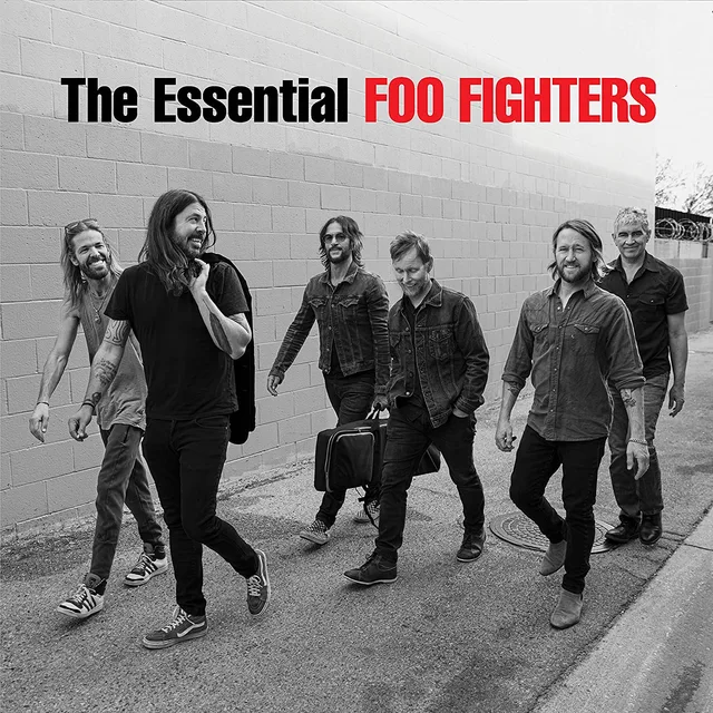Foo Fighters The Essential Foo Fighters (2LP) 