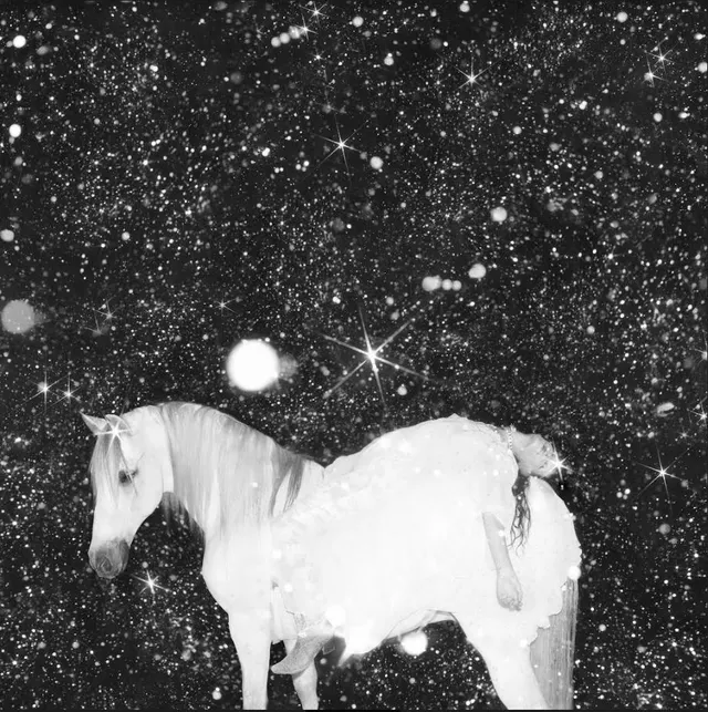 Black Lips Apocalypse Love (LP) 